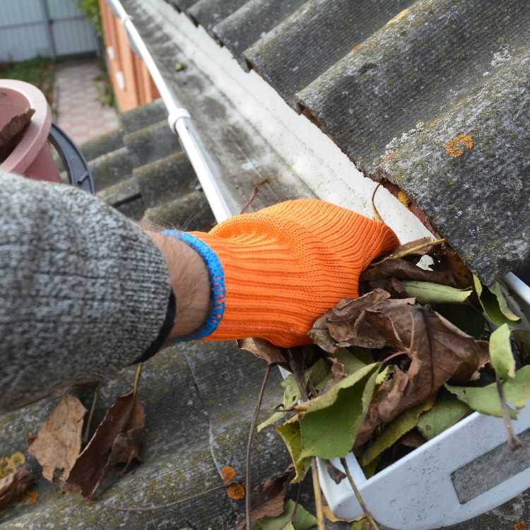 Gutter Cleaning in Boise, ID