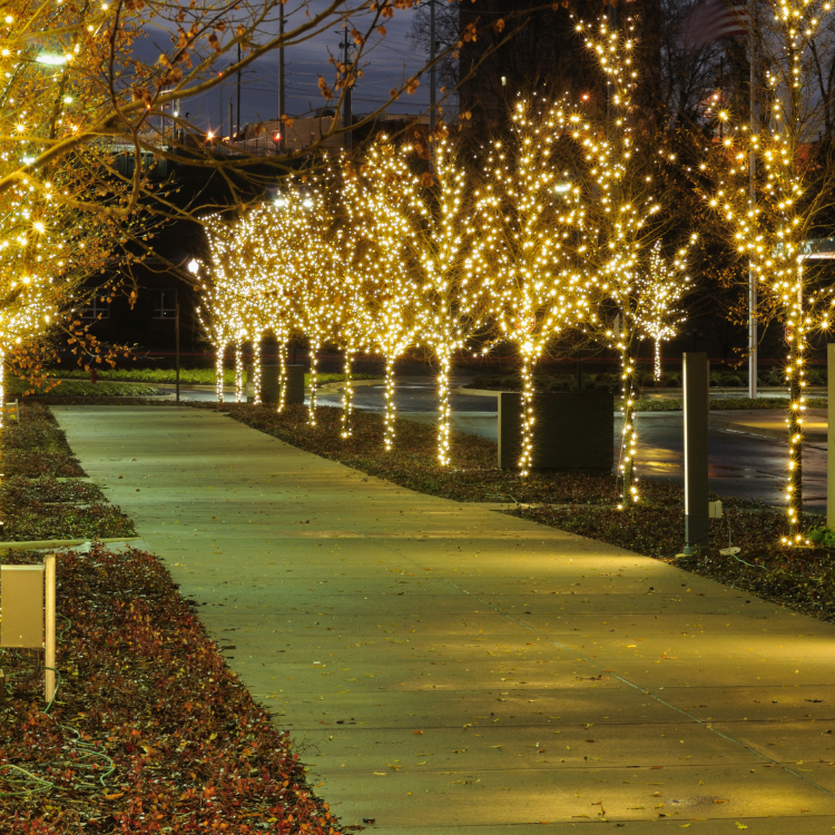 Holiday Lighting in Boise, ID