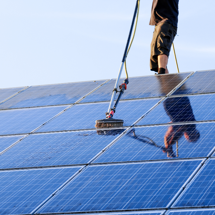 Solar Panels in Boise, ID